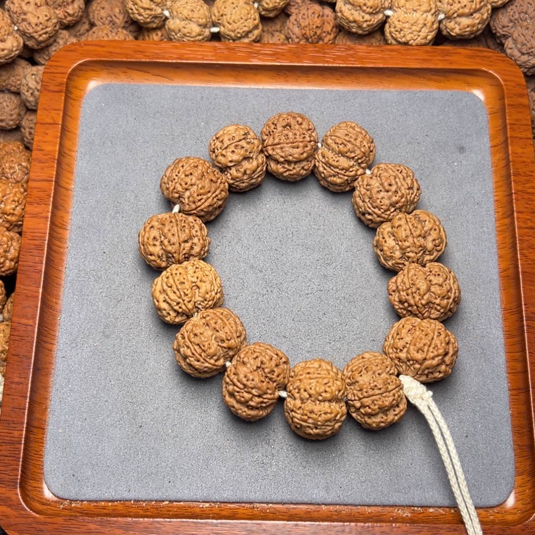 15号尼泊尔大金刚25粗筋梅花