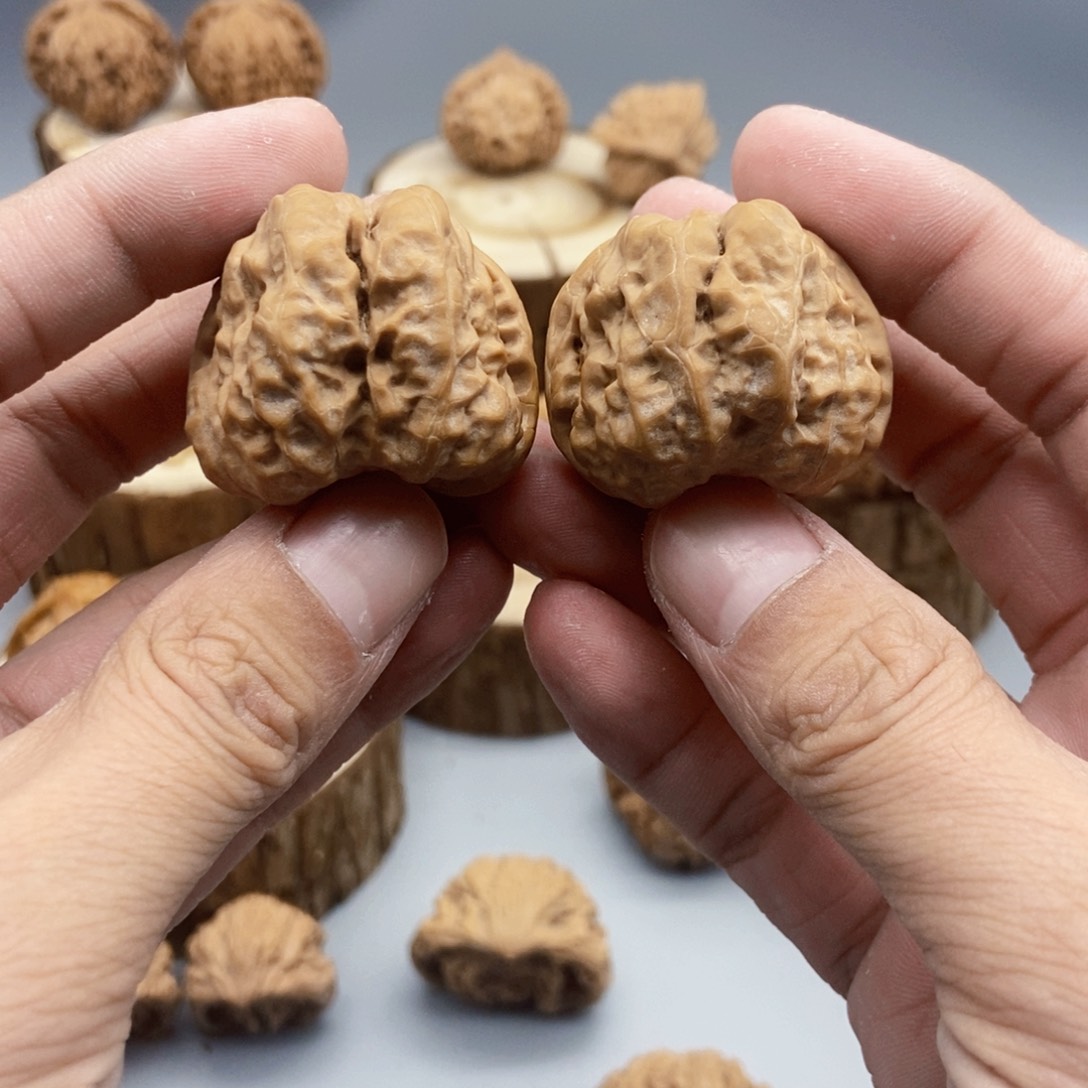 36尺寸蛤蟆头文玩把件