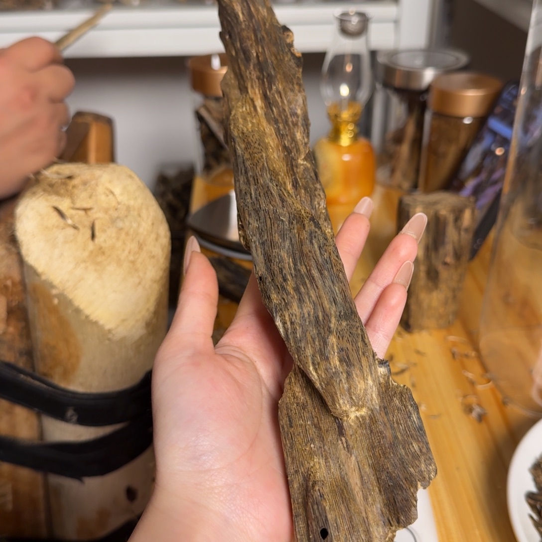 沉香乌身虫漏93克