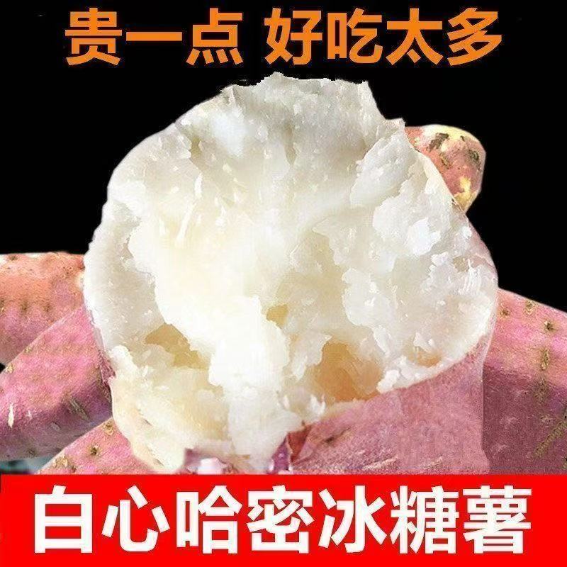 （白心蜜薯）哈密冰糖薯河南沙地新鲜现挖粉糯甘甜瓤白如 白心红薯