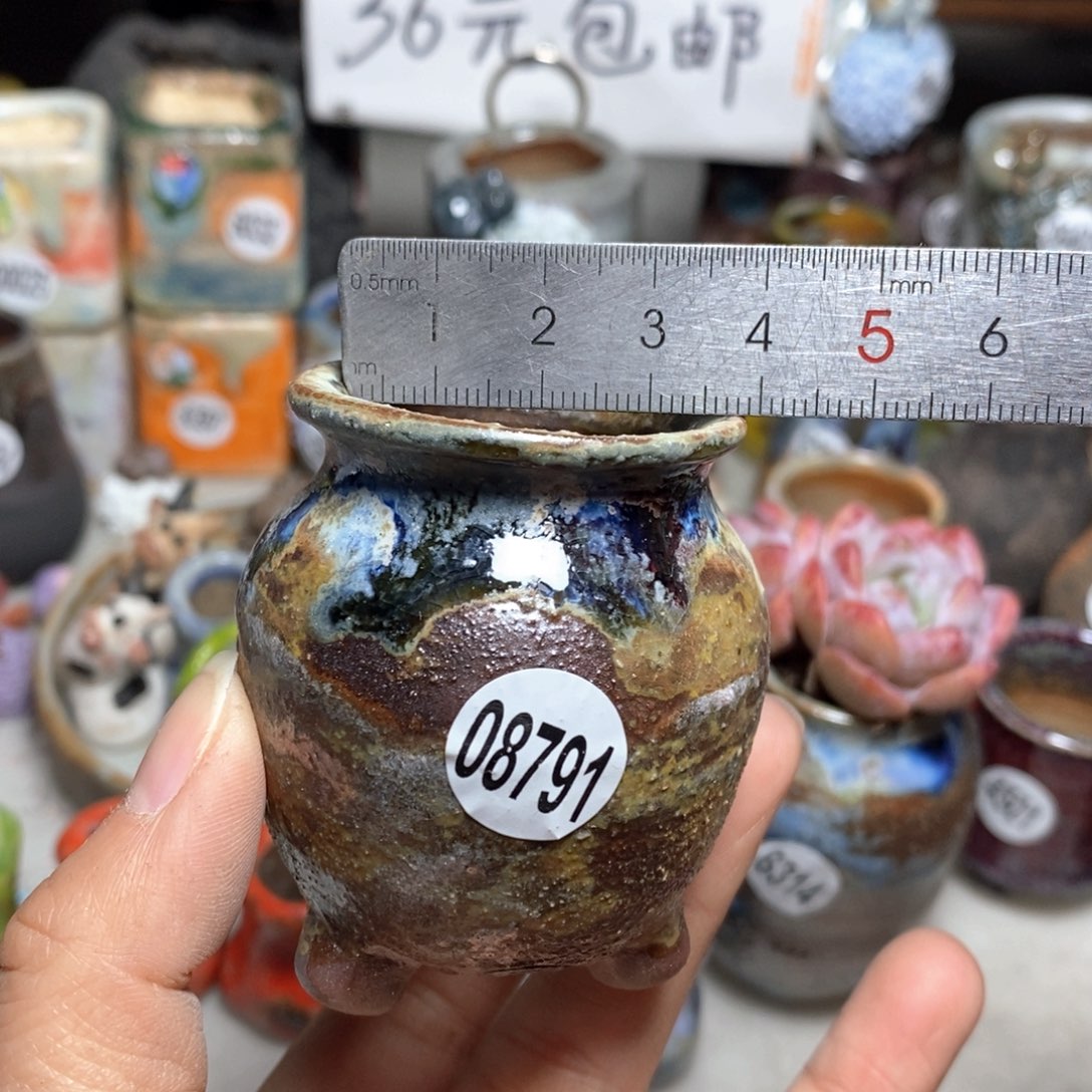 花盆拍5送一个小礼物
