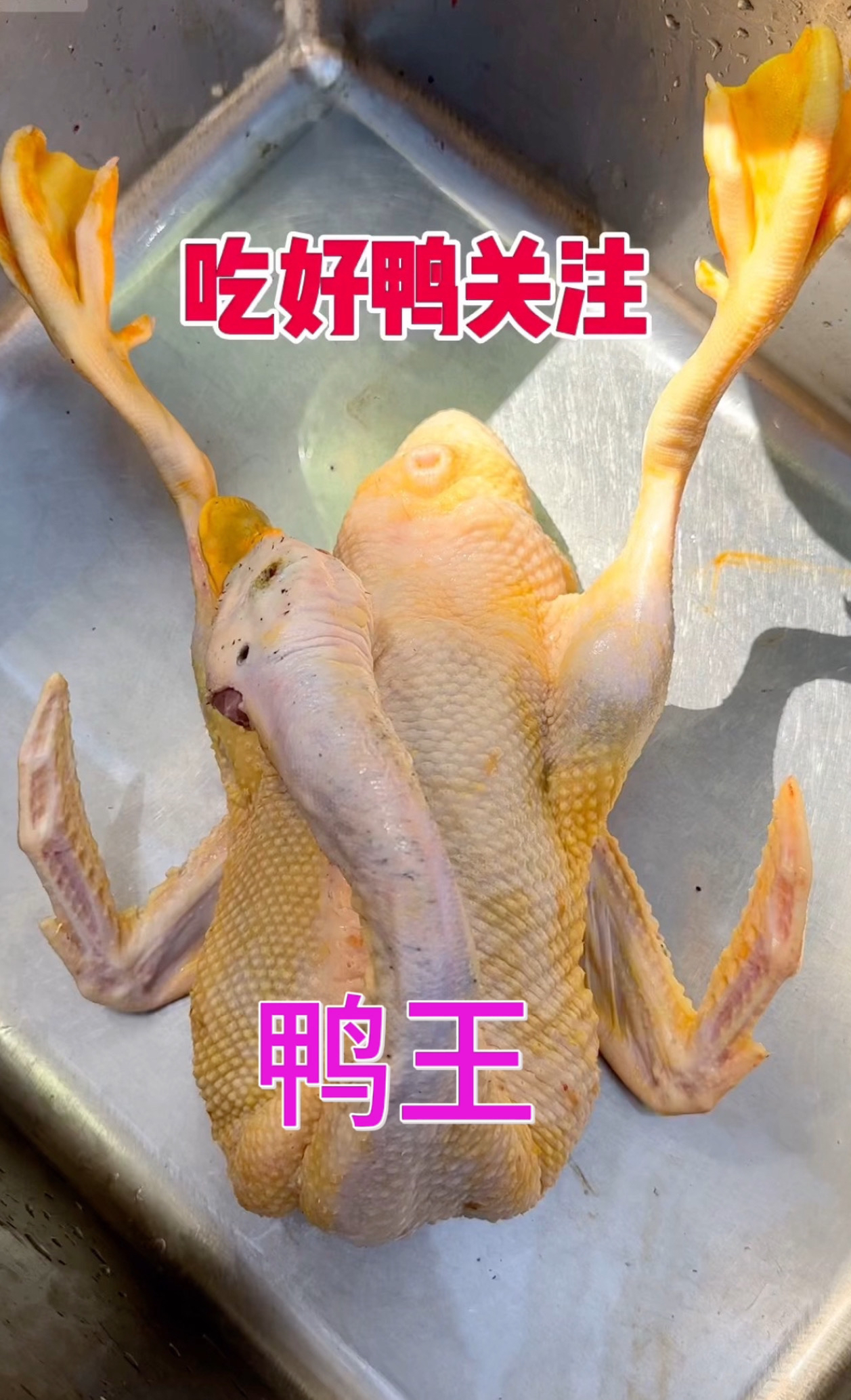 真真正正山泉水野养精品贵族生态鸭，宝藏店铺，螺草虾鸭脖子微淋巴