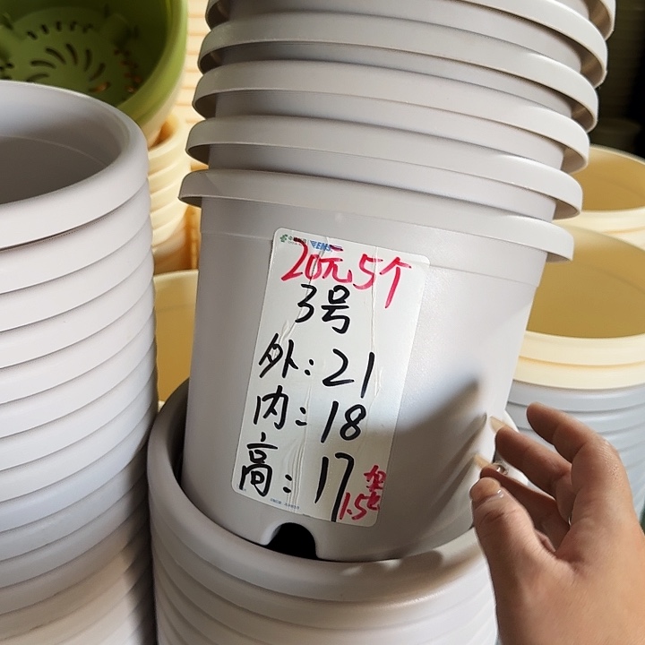 微瑕3#灰白10个无托