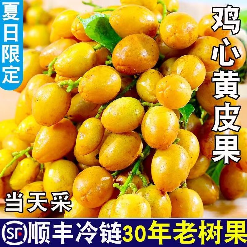 【顺丰包邮】鸡心黄皮果广东特产|老树黄皮果|现摘现发|应季水果