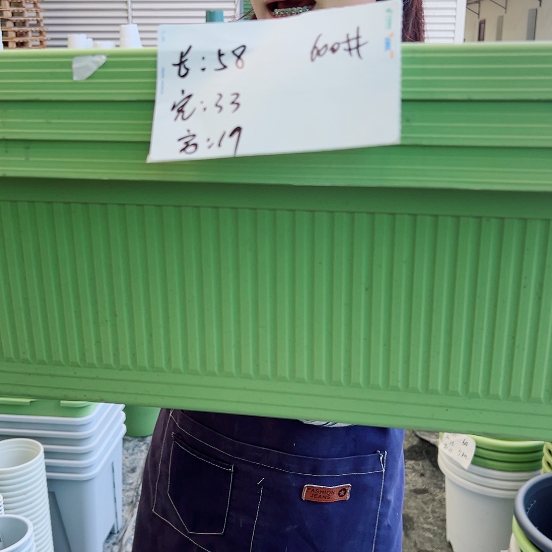 菜盆600#果绿3个无托