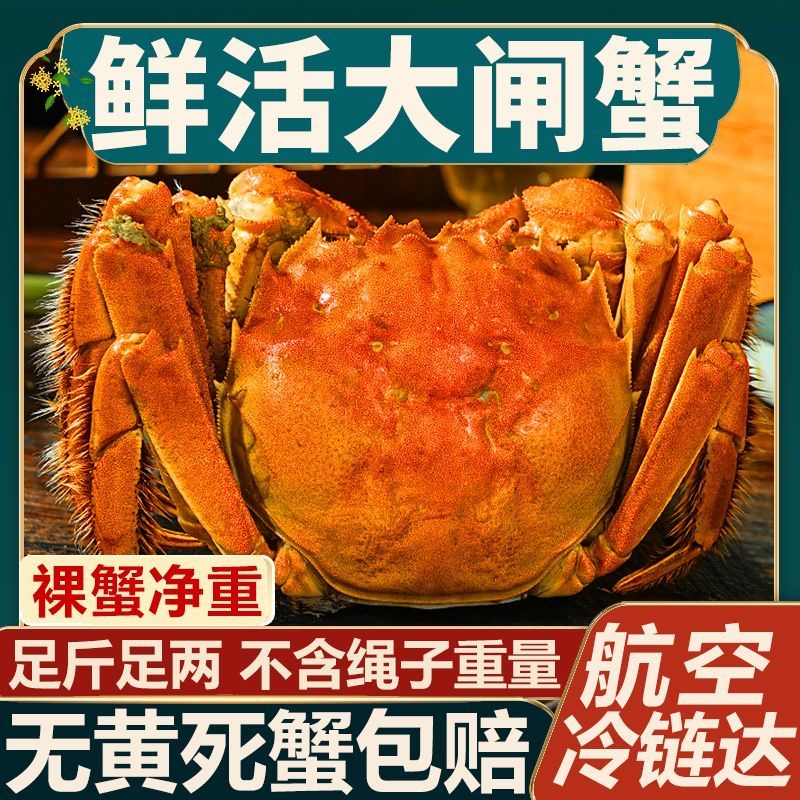 【公母对半】苏州大闸蟹公5/4.5/3.5两 母4/3.5/2.8/2.5两10只