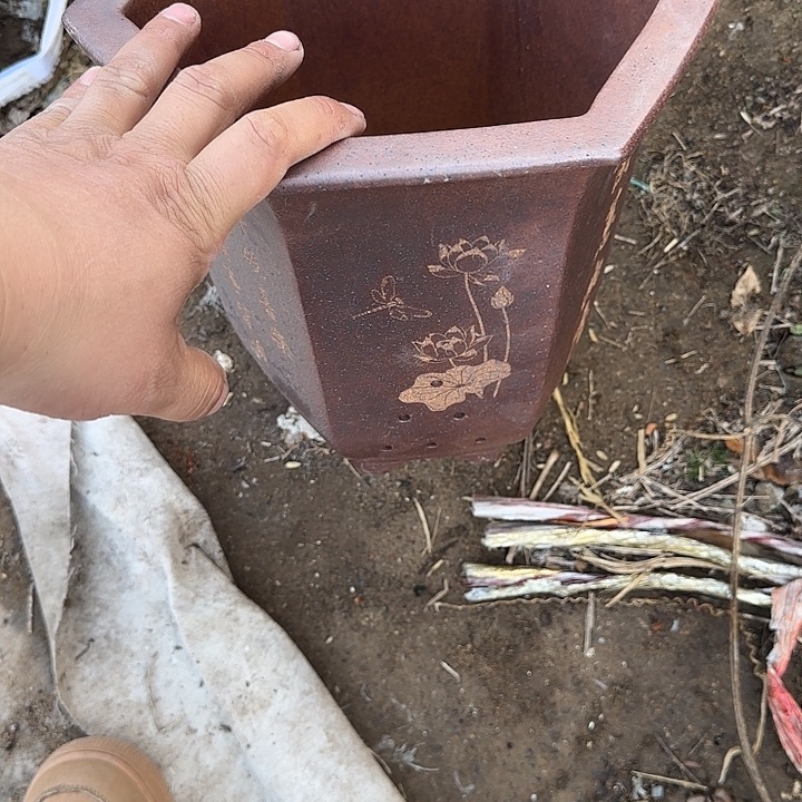 我想说我们也很幸福吧希望以后都