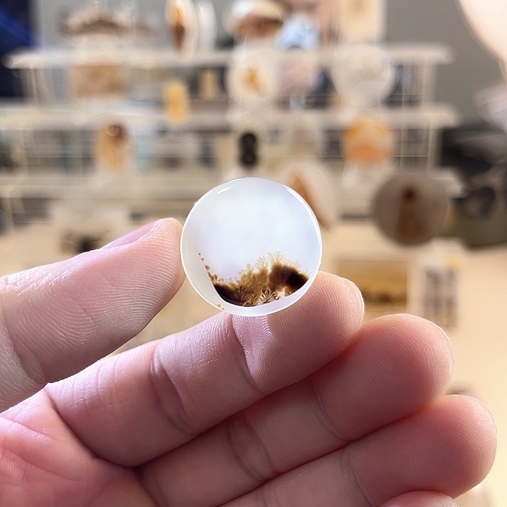 玛瑙/玉髓未镶嵌吊坠(不含链)