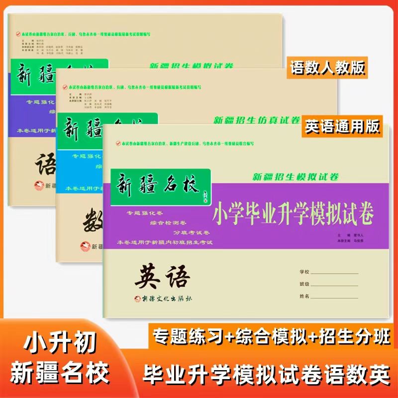 新疆名校小学毕业升学模拟试卷语数英综合分班