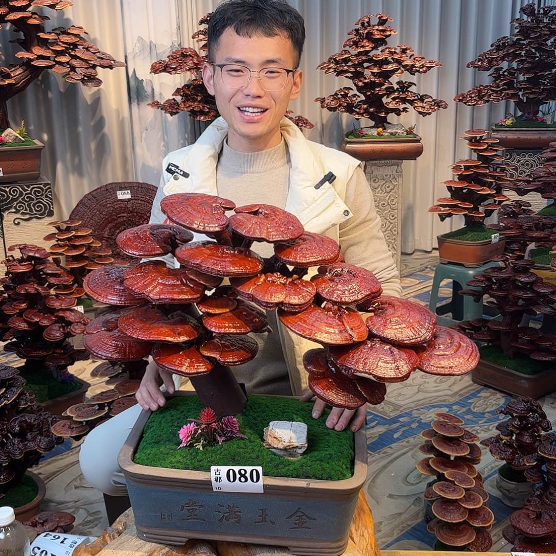 无花朵58888888888