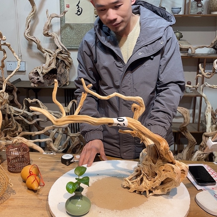 L***N香榧木杜鹃根天然根艺四