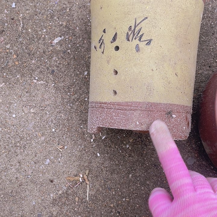 紫砂倨傲规划局a11