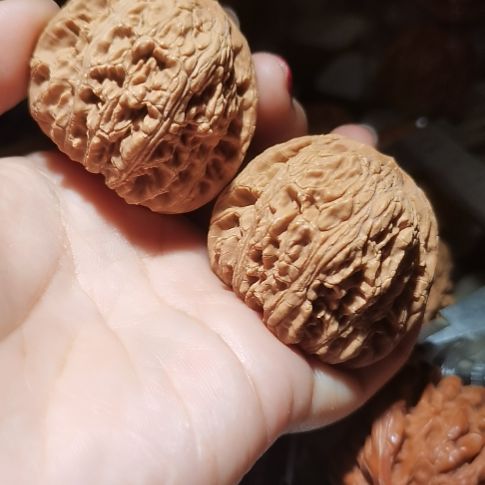 猴头核桃吊坠45泥鳅背