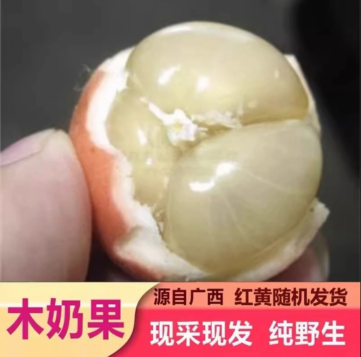 【助农产品】广西壮乡土特产—木奶果（马肥）