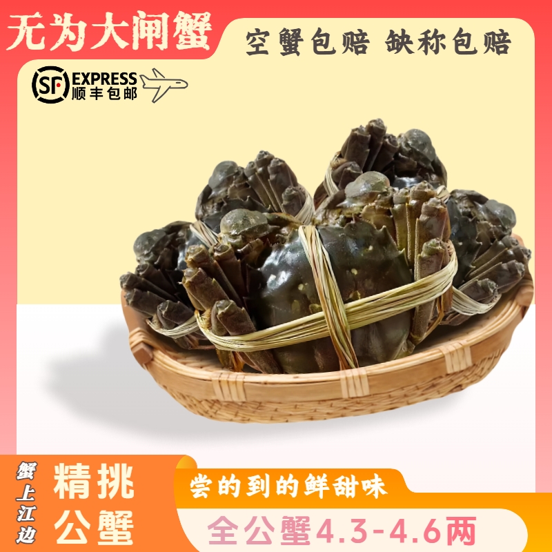 【现捕活蟹】全公蟹4.6-4.3两10只装全母蟹无为大闸蟹鲜活大螃蟹