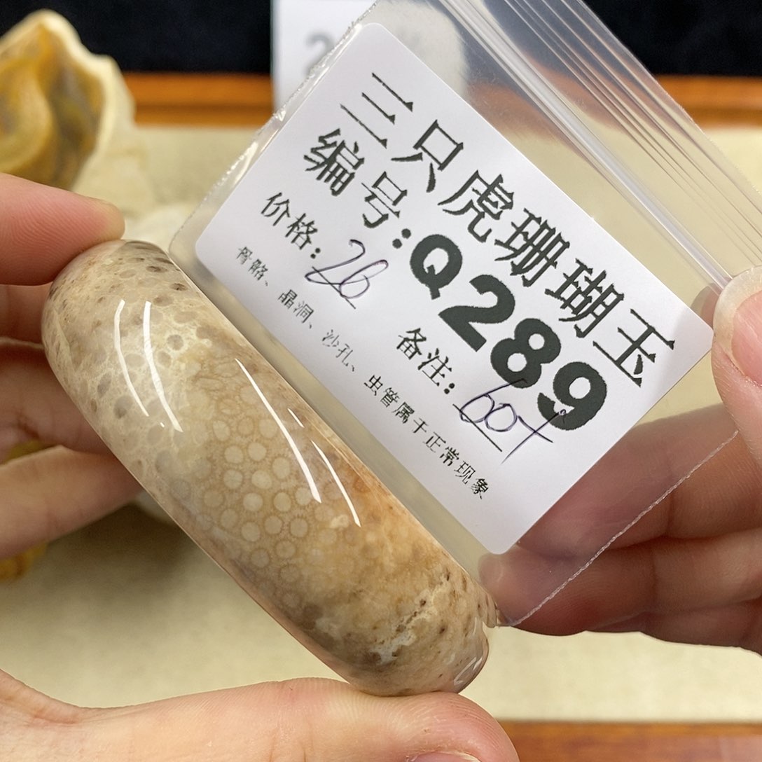 硅化珊瑚（珊瑚玉）1未镶嵌用***一