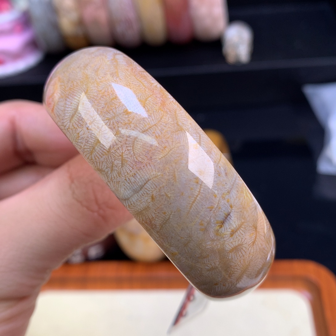 硅化珊瑚（珊瑚玉）未镶嵌颈饰121号53.8圈胖虫