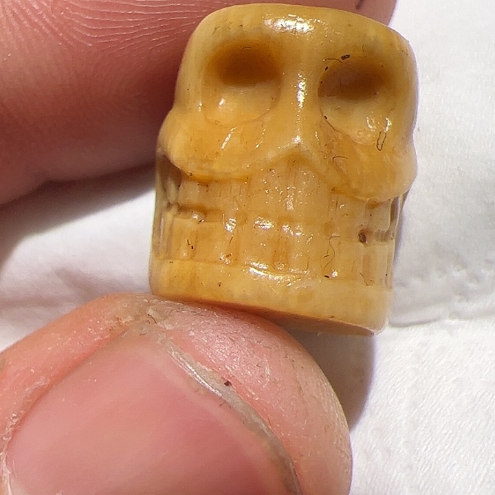 香榧木在这里的人