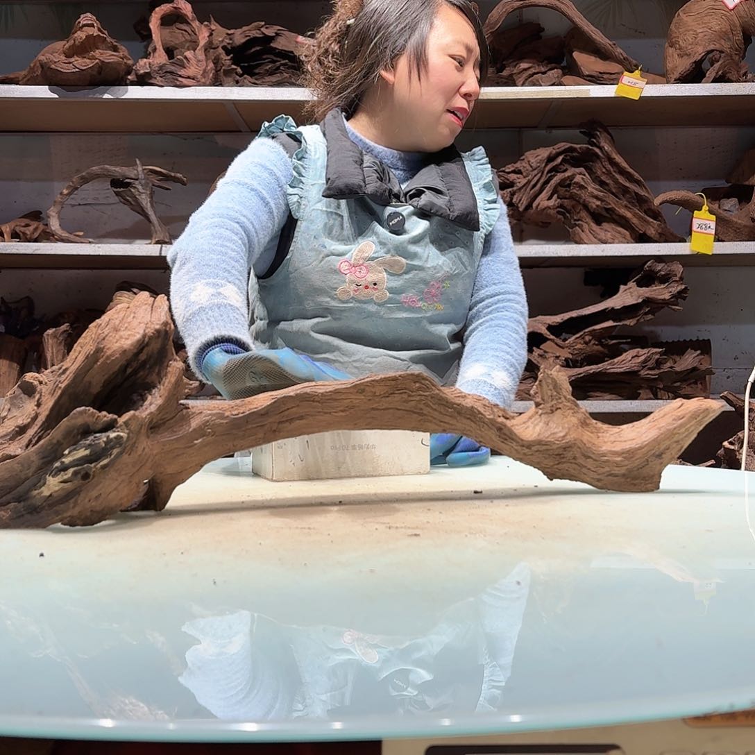 倍诸沉木不包损必褪色柠****?6459