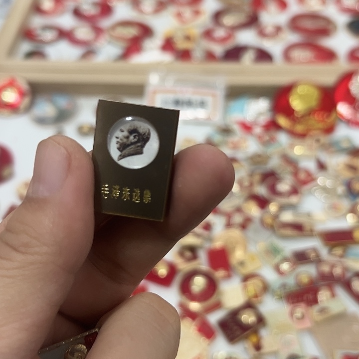 东***方合金啊啊啊啊啊啊啊