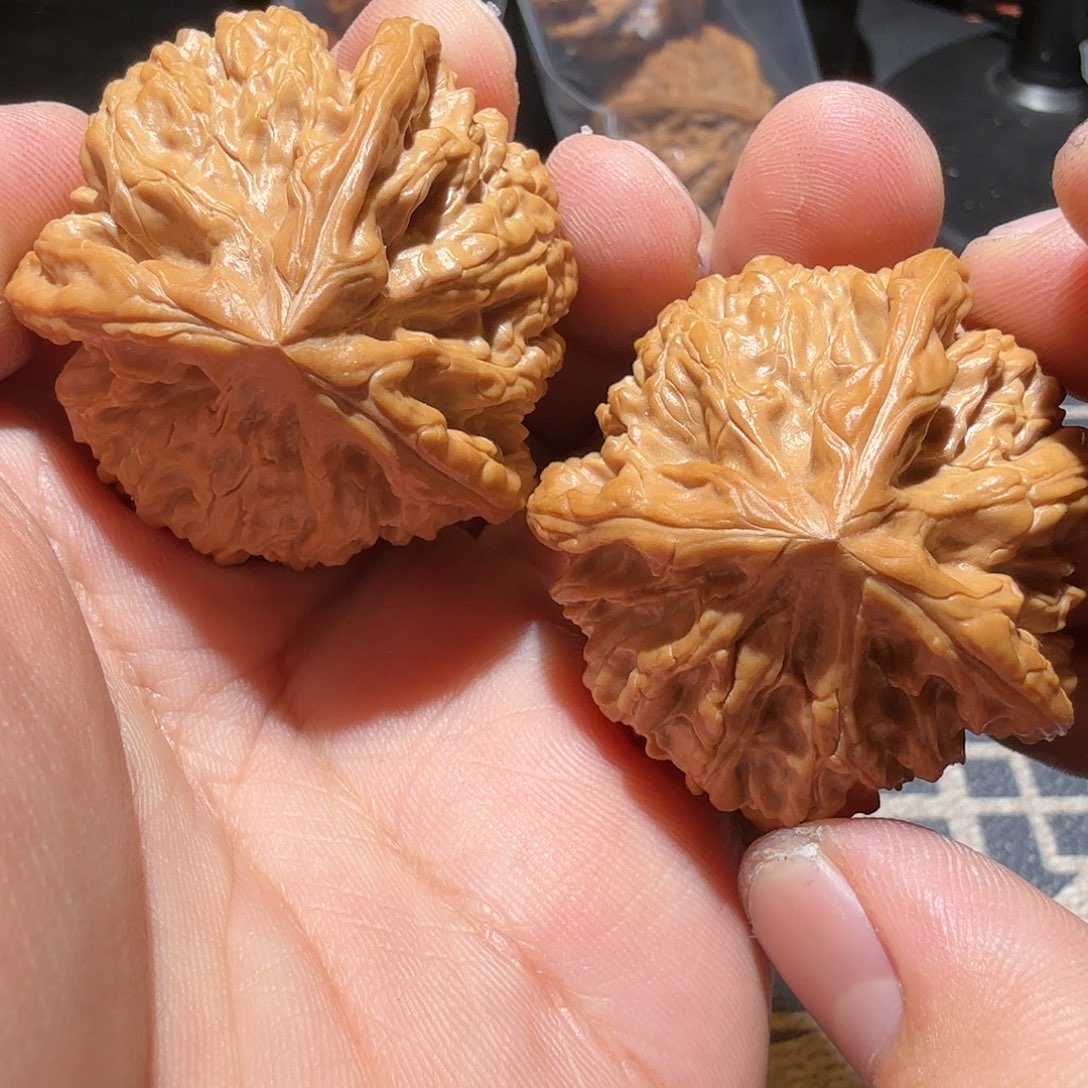 文玩核桃把件N****j御龙