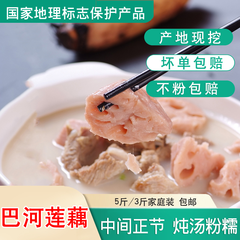 湖北巴河莲藕炖汤粉藕煲汤糯藕面藕地标非洪湖莲藕新挖产地直销