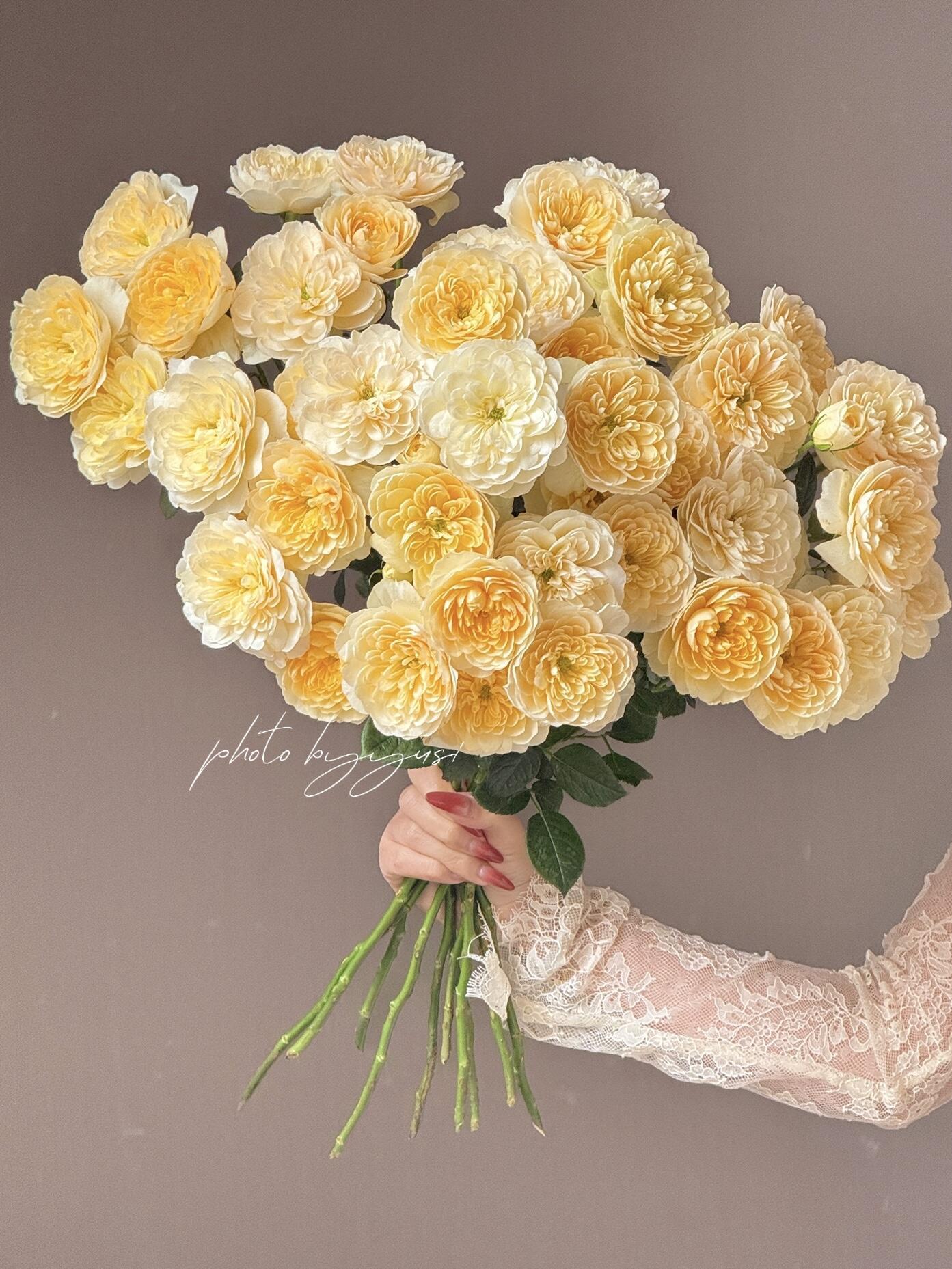 三岁花集--基地多头玫瑰蜜柚果汁（一单顺丰冷链三单空运包邮）