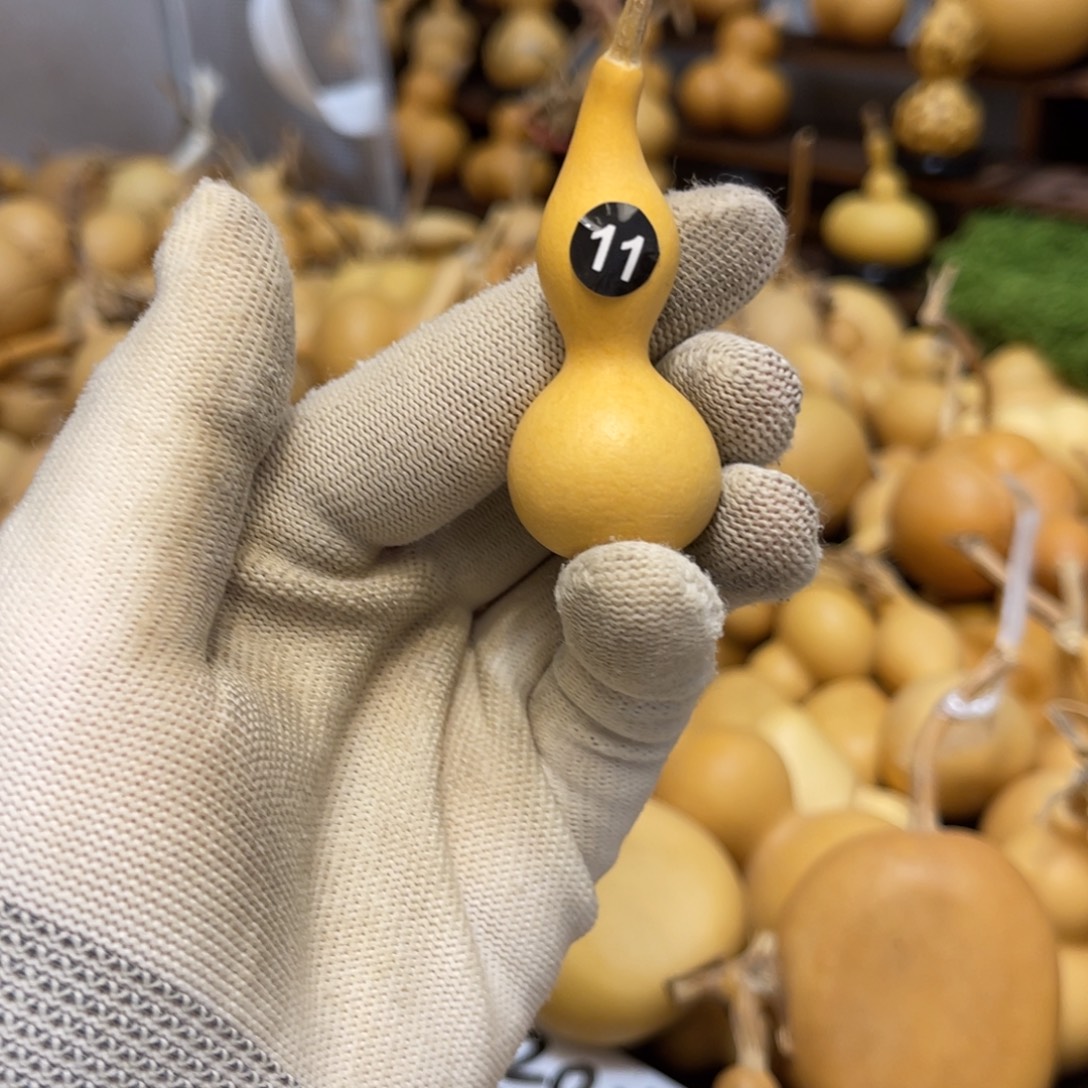 礼****11号闪拍葫芦（价格很低，No退No换）