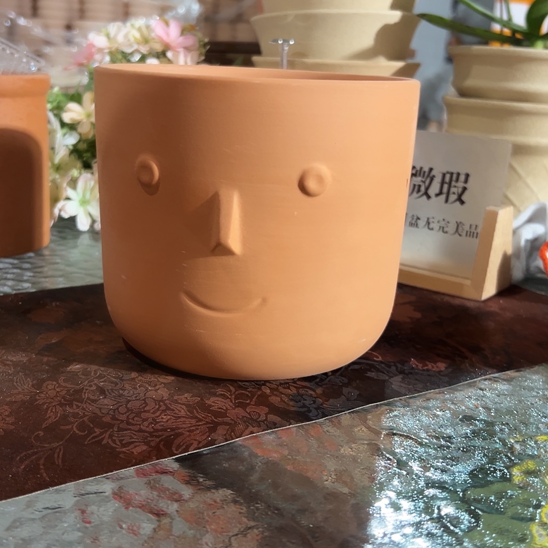 微瑕人脸盆16口14高1个