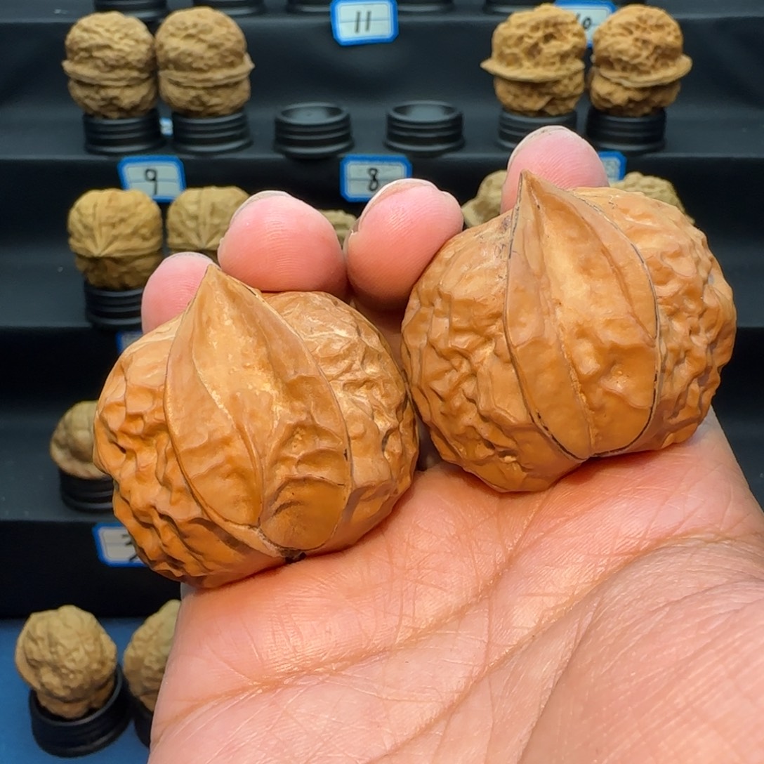 無***淰桃核把件生命之源