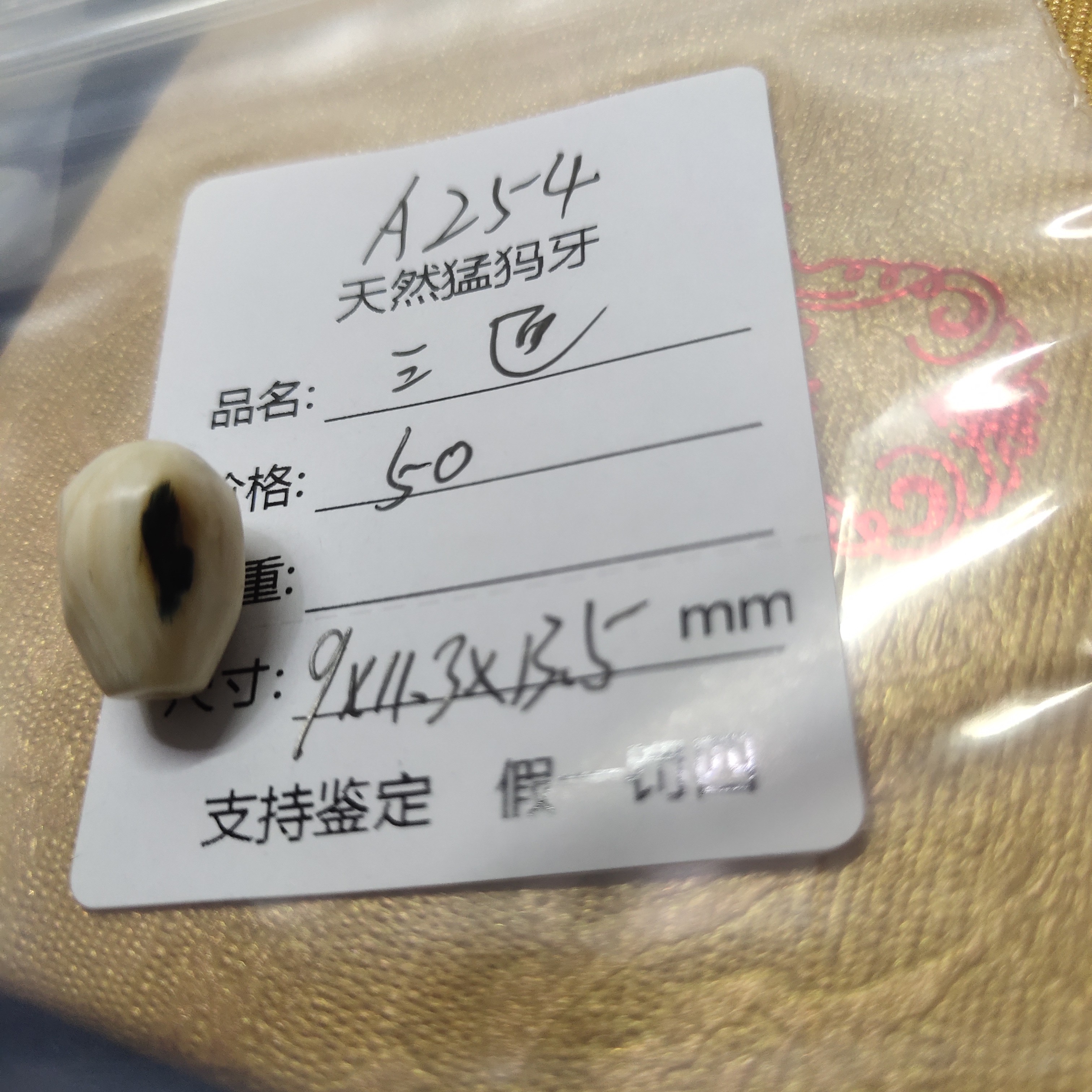 A254天然猛犸牙鲨鱼背三通