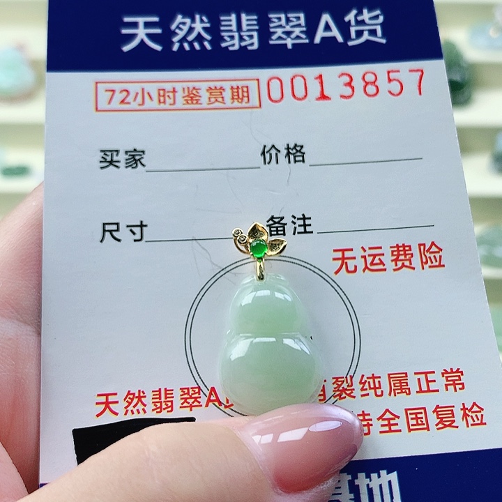 翡翠未镶嵌颈饰吊