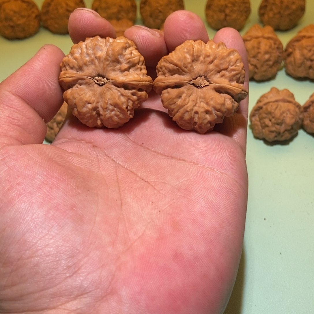 文玩核桃吊坠肆**已蛤蟆头41一对