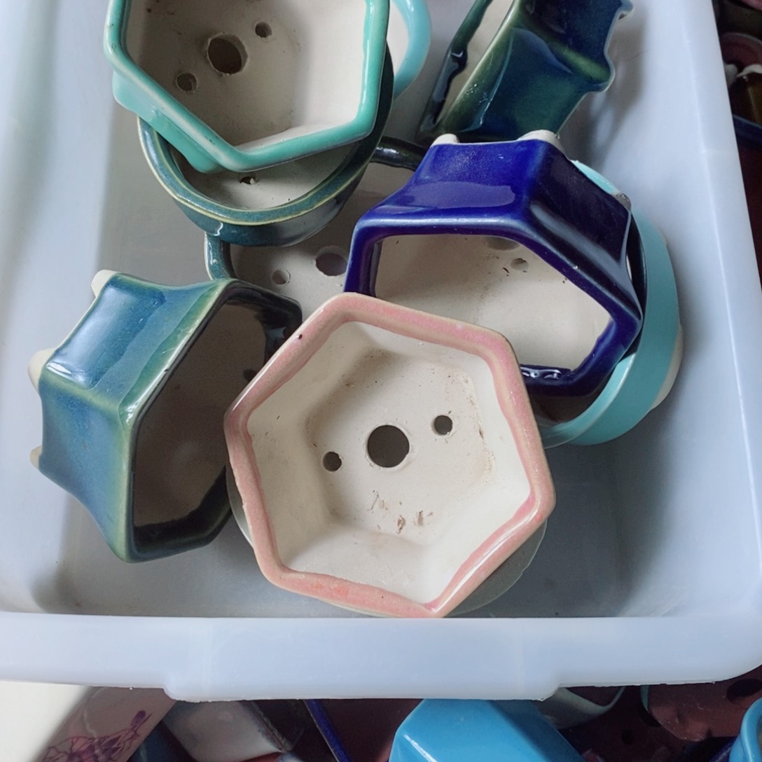 红陶小*头只能在那祝你们朝朝暮暮