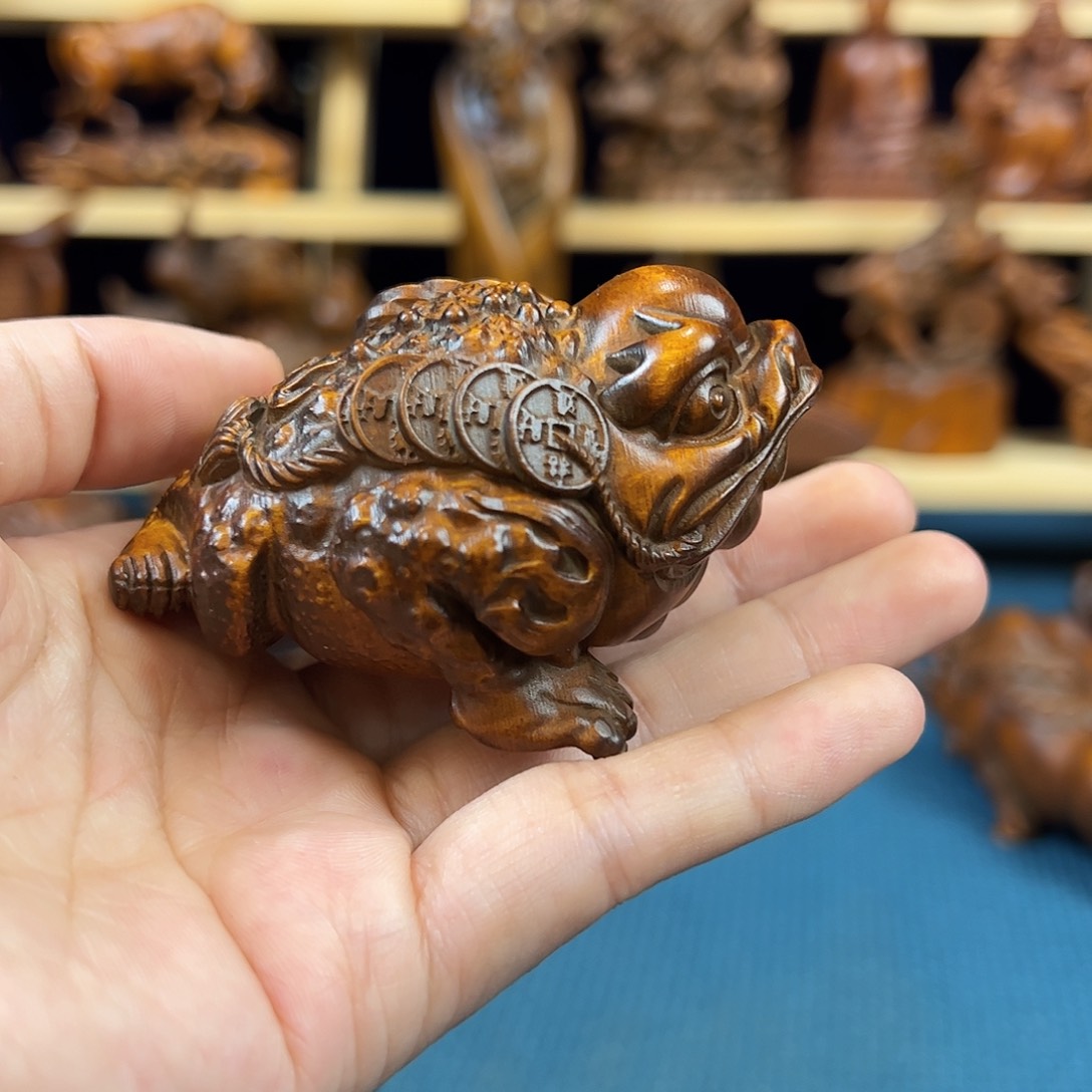 黄杨木小叶黄杨木