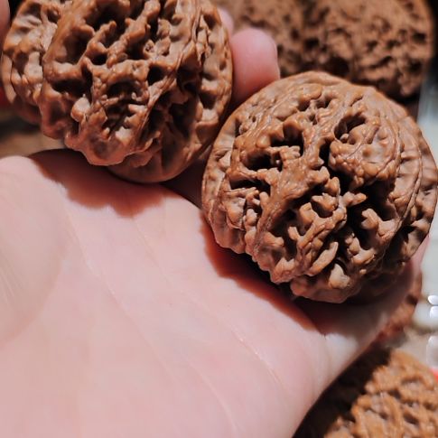 ****࿐吊坠文玩核桃47粗筋