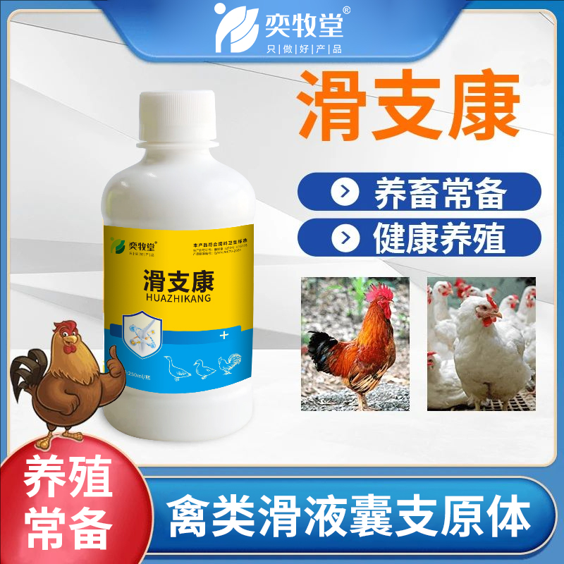鸡鸭鹅家禽滑支康畜牧添加剂站不起来