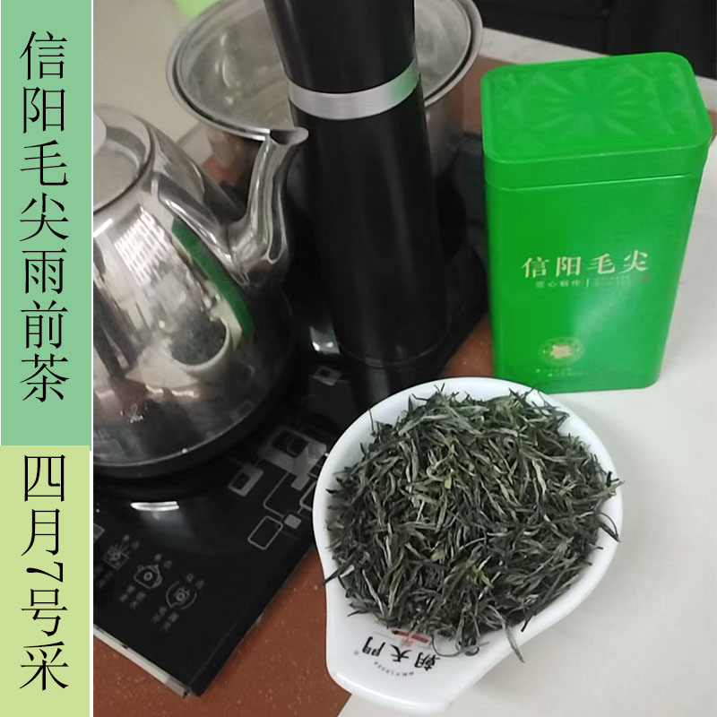 2025年 大别山信阳春茶 （雨前4月6号采摘）