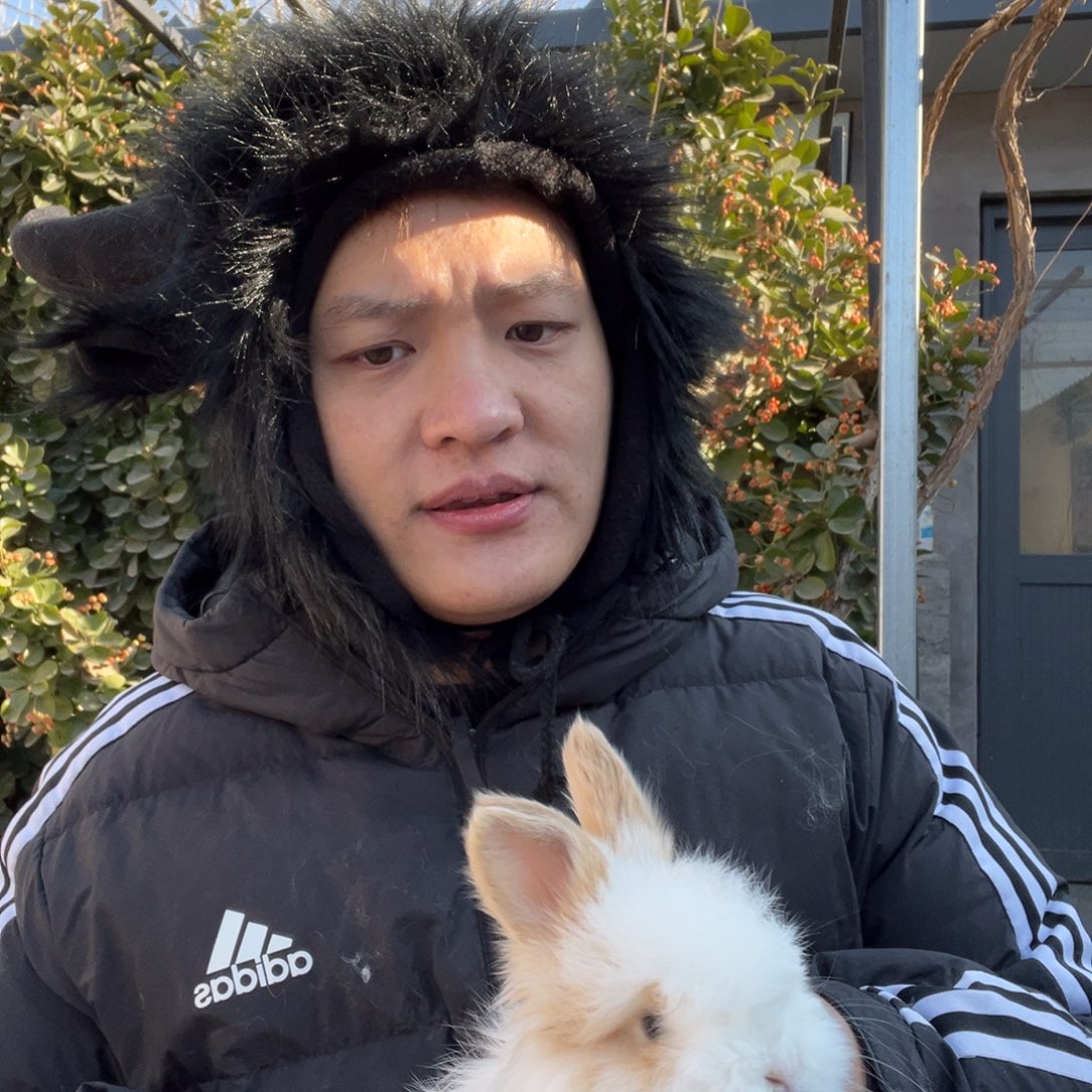 小***杰双血统英系安哥拉兔