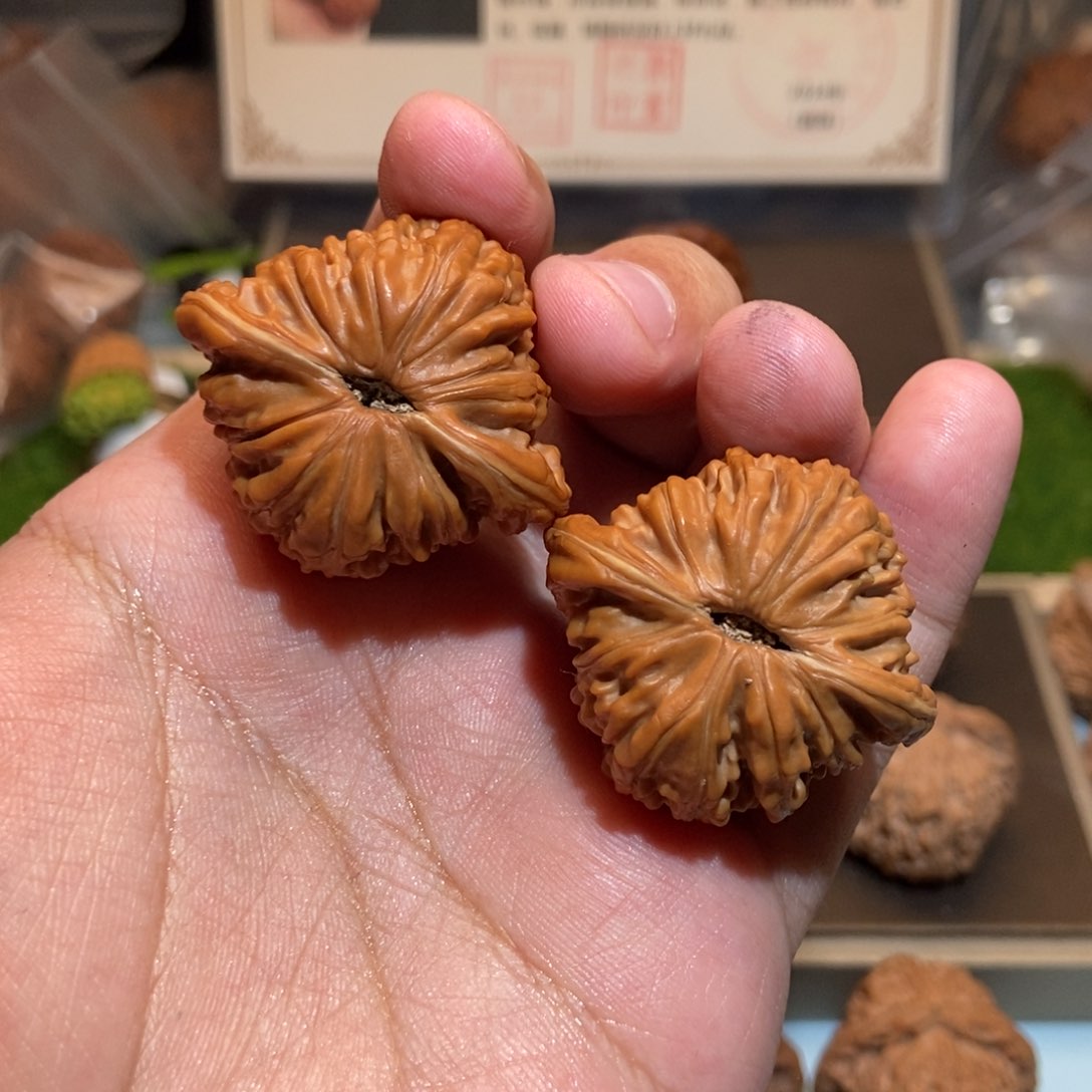 核桃手串/手链T***y汉高楼喜欢好评