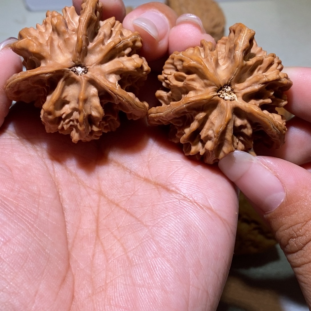 到***了核桃手串/手链三棱40