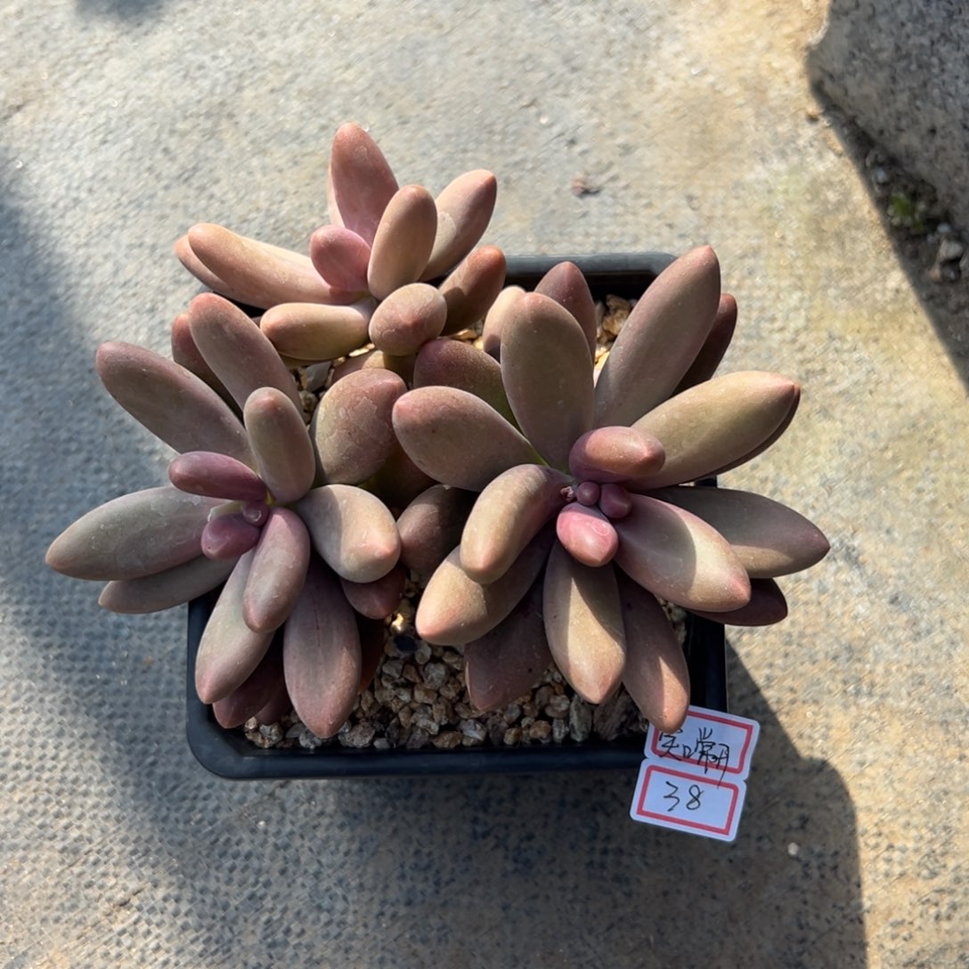 笑**开11111111111111111111