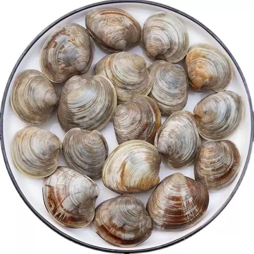 ［万源优选］美贝500g