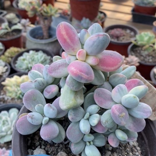 662一一一一一一一一一