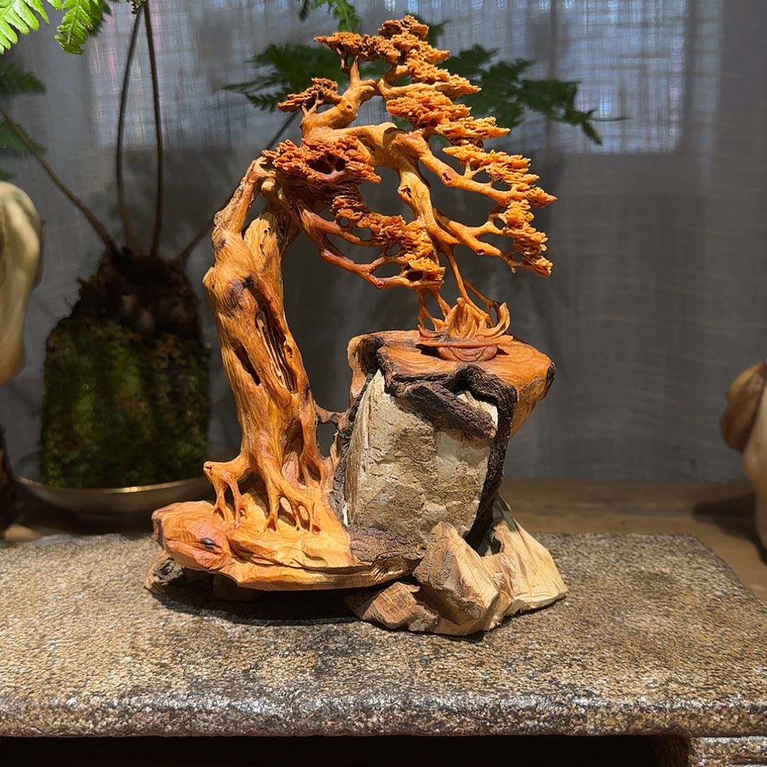 柏木（崖柏）太行集团董事