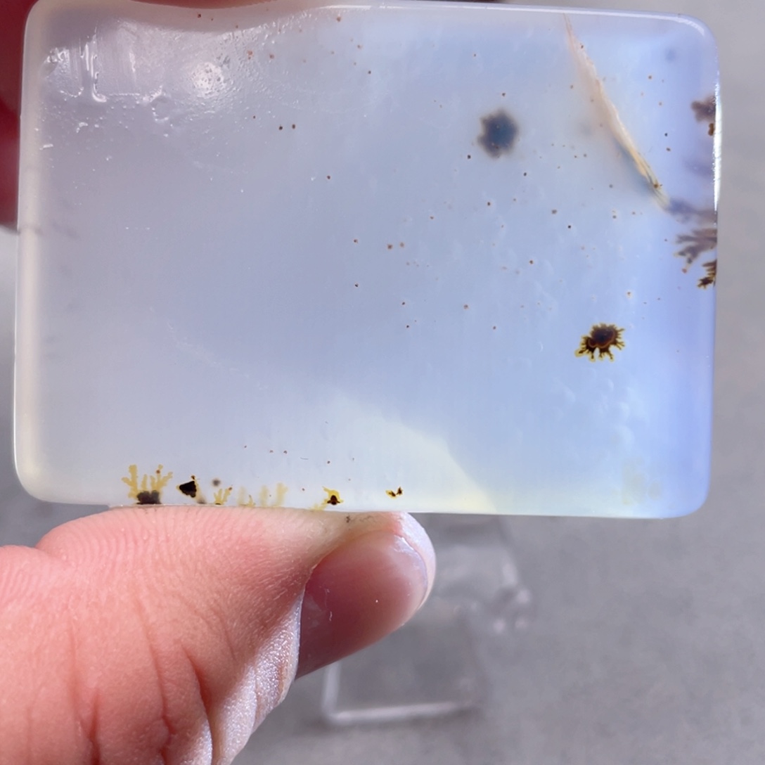 【闪购商品】玛瑙/玉髓颈饰合金