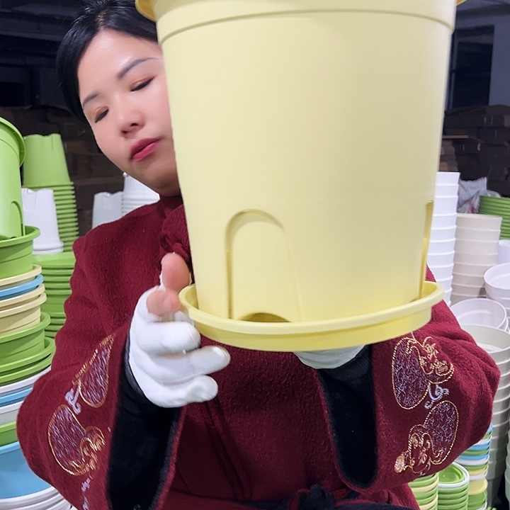 正品圆控口24高24黄色5只带托