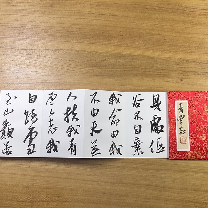 书法中书协会员作品