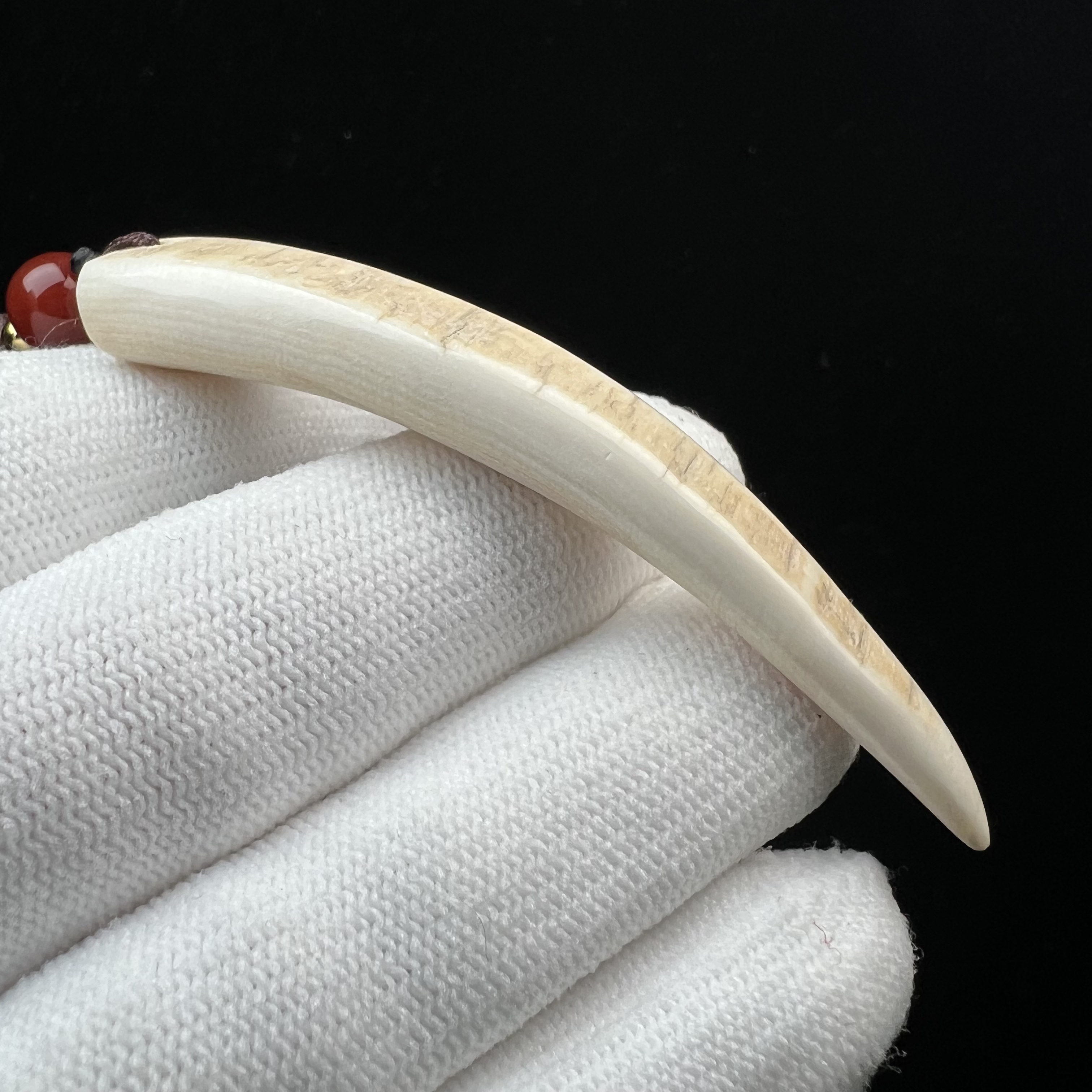 D4219天然猛犸牙牙尖76mm支持鉴定 假一罚四