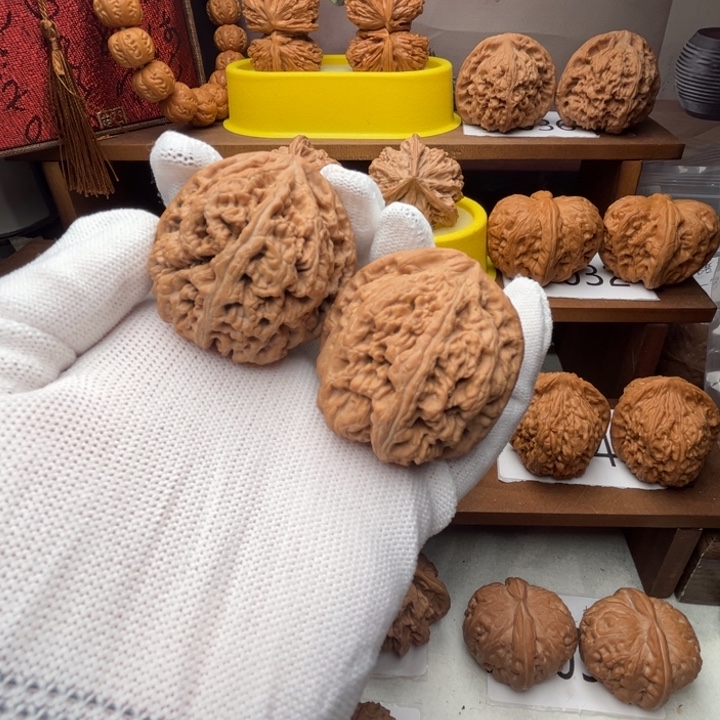 核桃粗筋45全品5037